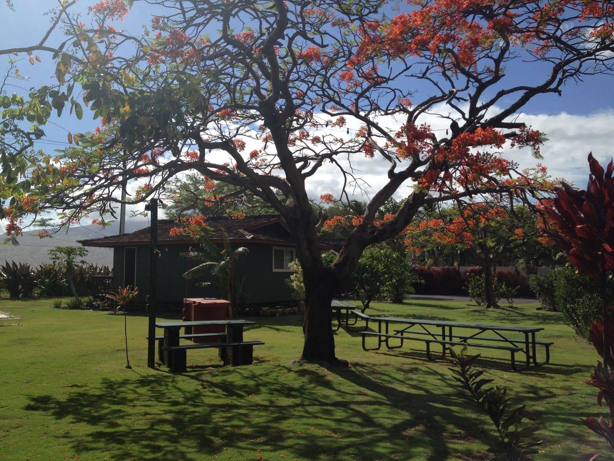 Nona Lani Cottages Kihei Exteriér fotografie